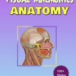 Visual Mnemonics Anatomy (Color)