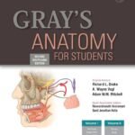 Gray's Anatomy For Students (Color)