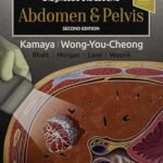 Diagnostic Ultrasound Abdomen and Pelvis Volume 1-2 (Color)