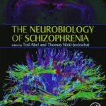 The Neurobiology of Schizophrenia (Color)
