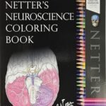Netter's Neuroscience Coloring Book (Color)