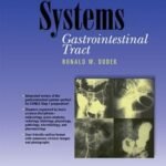 High-Yield Gastrointestinal Tract (Color)