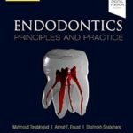Endodontics: Principles and Practice (Color)