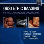Obstetric Imaging: Fetal Diagnosis and Care Volume 1-2 (Color)