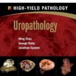High-Yield Uropathology (Color)