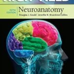 High-Yield Neuroanatomy (Color)