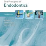The Principles of Endodontics (Color)