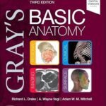 Gray's Basic Anatomy (Color)