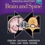 Imaging Anatomy Brain and Spine Volume 1-2 (Color)