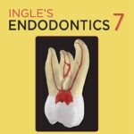 Ingle's Endodontics Volume 1-2 (Color)
