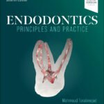 Endodontics Principles and Practice (Color)