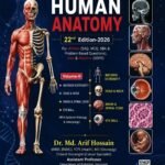 Arifs Representation On Human Anatomy Volume 1-3