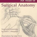Atlas of Surgical Anatomy (Color)