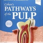 Cohen's Pathways of the Pulp (Color)