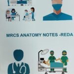 MRCS Part A Notes Reda (Color)