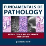 Fundamentals of Pathology Pathoma.Com (Color)
