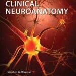 Clinical Neuroanatomy (Color)