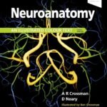 Neuroanatomy: an Illustrated Colour Text (Color)