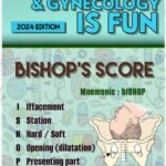 Obstetrics Gynecology Is Fun (Color)