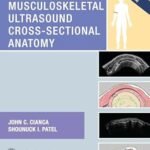 Musculoskeletal Ultrasound Cross-Sectional Anatomy (Color)