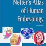 Netter's Atlas of Human Embryology (Color)