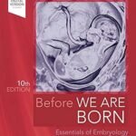 Before We Are Born: Essentials of Embryology and Birth Defects (Color)