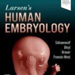 Larsen's Human Embryology Volume 1-3 (Color)