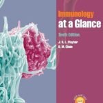Immunology at a Glance (Color)