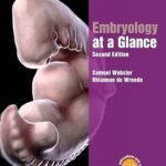 Embryology at a Glance (Color)