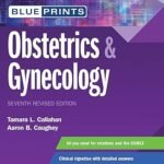 Blueprints Obstetrics & Gynecology Volume 1-2 (Color)