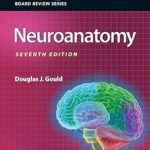 BRS Neuroanatomy (Color)