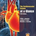 The Cardiovascular System at a Glance (Color)