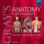 Gray's Anatomy For Students Volume 1-2(Color)