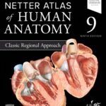 Netter Atlas of Human Anatomy (Color)