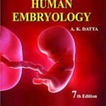 Essentials of Human Embryology (B&W)