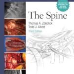 Master Techniques in Orthopaedic Surgery: The Spine (Color)