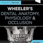 Wheeler's Dental Anatomy, Physiology and Occlusion (Color)