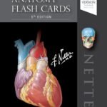 Netter's Anatomy Flash Cards (Color)
