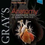 Gray's Anatomy The Anatomical Basis of Clinical Practice Part 1-4 (Color)