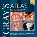 Gray's Atlas of Anatomy (Color)
