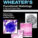 Wheater's Functional Histology A Text and Colour Atlas (Color)