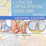Netter's Concise Orthopaedic Anatomy (Color)