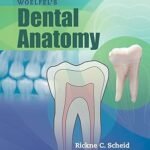 Woelfel's Dental Anatomy (Color)