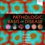 Robbins and Cotran & Kumar Pathologic Basis of Disease Set (Color)