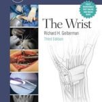Master Techniques in Orthopaedic Surgery: The Wrist (Color)
