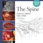 Master Techniques in Orthopaedic Surgery: The Spine (Color)