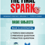 The Final Spark Volume 1-2 (BASIC)