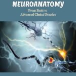 NEUROANATOMY From Basic to Advanced Clinical Practice