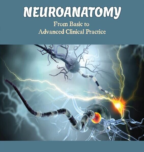 NEUROANATOMY From Basic to Advanced Clinical Practice