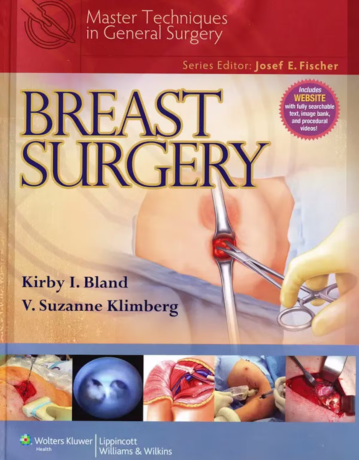 1682607013-ch-31-glutealflapbreastreconstruction-jpg